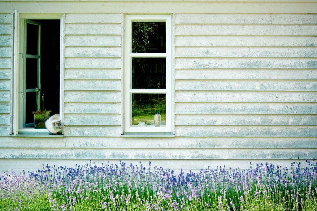Dépannage vitres : Un guide pour faire le bon choix de produit